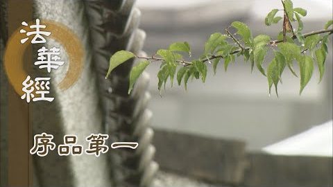 《法華經 序品第一》- 般若智慧 真空妙有 - 第13集