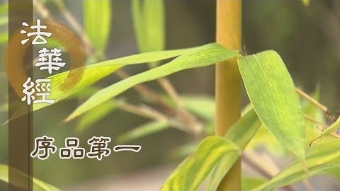 《法華經 序品第一》- 十德具足 - 第114集