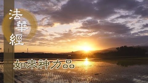 《法華經如來神力品》光聚會覺 徹照十方 - 第1770集