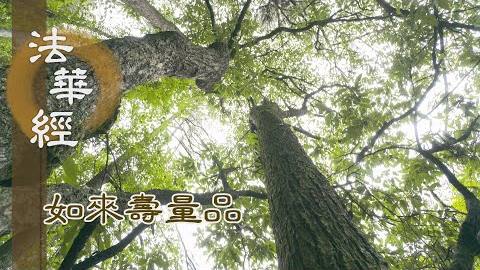 如來妙法 光明照耀 - 第1551集