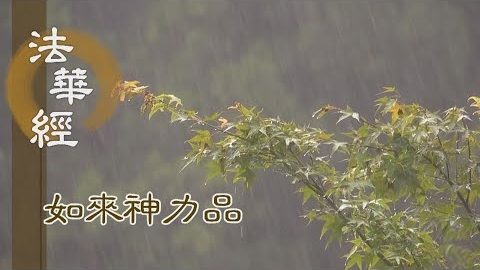 《法華經 如來神力品》囑累法華 讚美受持 - 第1791集