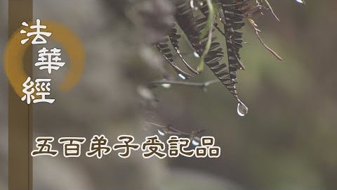 《法華經 五百弟子受記品》- 常勤精進 饒益眾生 - 第1118集