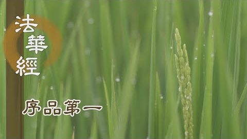 《法華經 序品第一》- 行於大菩提道 - 第121集