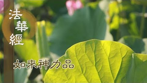 《法華經 如來神力品》和敬至誠 致願一志 - 第1764集