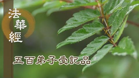 《法華經 五百弟子受記品》- 隨根說法 拔眾貪著 - 第1109集