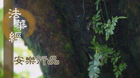 三軌弘經 四安樂行 - 第1429集