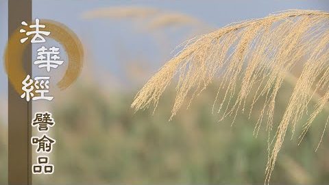 《法華經 譬喻品》避惡趣善 淨法緣度 - 第590集
