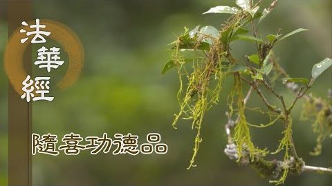 棄麤修善 福相莊嚴 - 第1640集