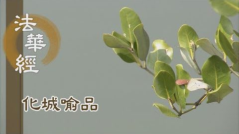 《法華經 化城喻品》 - 法無遠近 尋思自體 - 第1088集