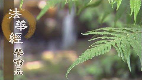 《法華經 譬喻品》說法化菩薩 - 第528集