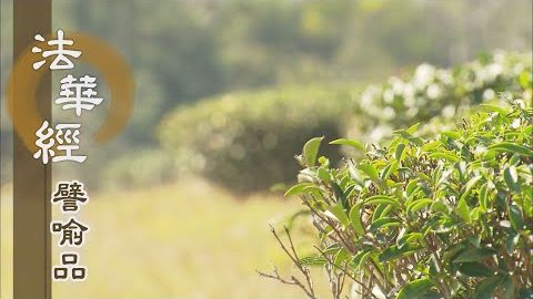 《法華經 譬喻品》心靜能照濁世火 - 第671集