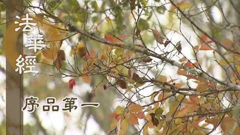 《法華經 序品第一》- 須菩提與阿難尊者 - 第52集