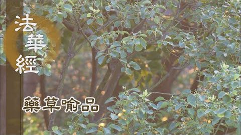 《法華經 藥草喻品》四無礙智 善說度眾 - 第870集