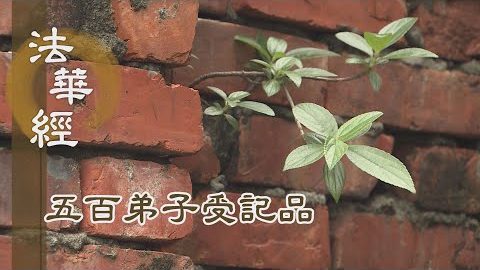 《法華經 五百弟子受記品》- 深心本願 眾德深固 - 第1110集