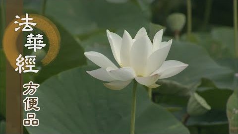 相應起覺心 - 第303集