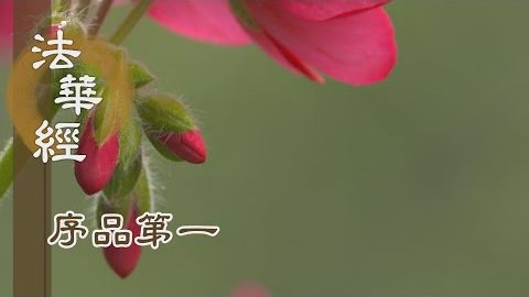 《法華經 序品第一》- 五時設教應根機 - 第10集
