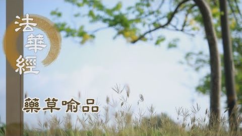 《法華經 藥草喻品》 - 為諸眾生 演說諸法 - 第905集