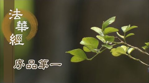 《法華經 序品第一》- 持弘誓願 無樂不與 - 第66集