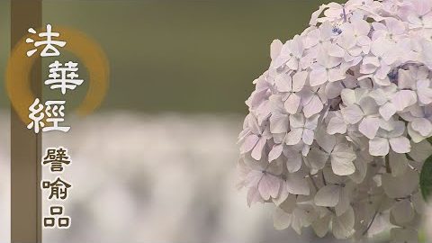 《法華經 譬喻品》方便逗機 終歸一乘 - 第614集
