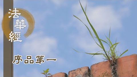 稽首精進持淨戒 - 第162集
