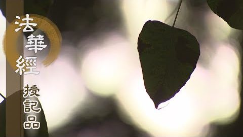 《法華經 授記品》 - 淨修梵行 當得作佛 - 第936集