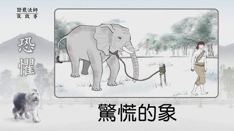 惊慌的象~如何化解生活中的恐惧?