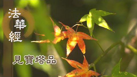 《法華經 見寶塔品》- 弘經實難 當發大願 - 第1311集