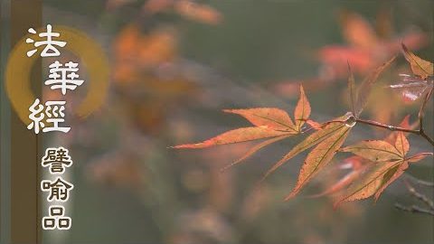 《法華經 譬喻品》解悟無常 是法深妙 - 第517集