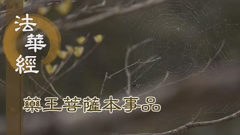 《法華經 藥王菩薩本事品》悟色性空 不生貪著 - 第1863集