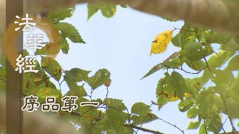 《法華經 序品第一》- 佛心本懷妙諦深奧 - 第98集