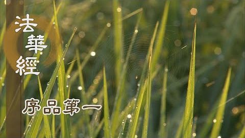 懈怠貪著當警惕 - 第177集