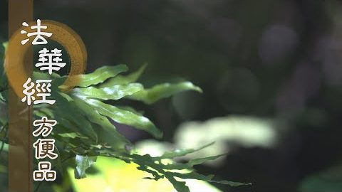 禮敬聖師 聞法信受 - 第435集
