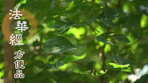 無量過去佛 - 第379集