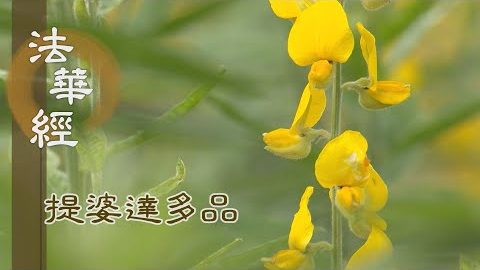 《法華經 提婆達多品》- 三智具足 因行圓滿 - 第1334集