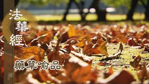 《法華經 藥草喻品》 - 行精進定 是上藥草 - 第915集