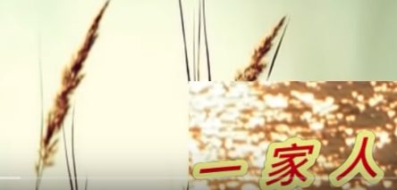 一家人