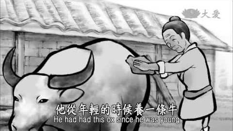 No.13 老农与牛