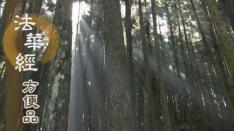 好樂佛法 轉小趣大 - 第261集