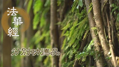 定如地藏 明顯真理 - 第1608集