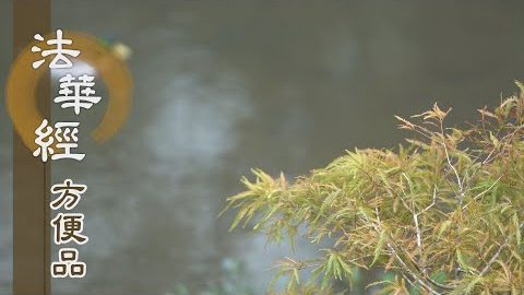 擐甲精進 依法為師 - 第221集