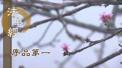《法華經 序品第一》- 心光遍照萬八千土 - 第80集