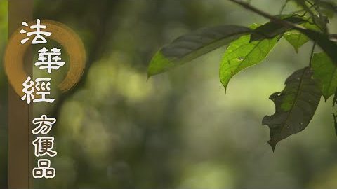 諸法寂滅相 - 第437集