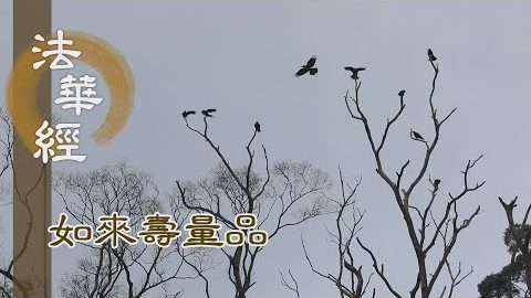 愚癡迷惑 以因緣治 - 第1537集