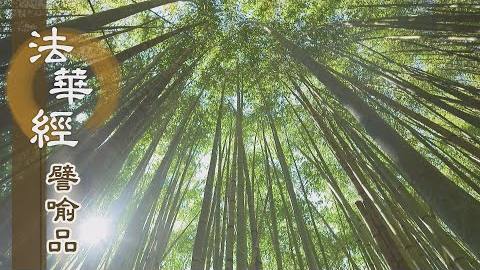 《法華經 譬喻品》不共之莊嚴 - 第471集
