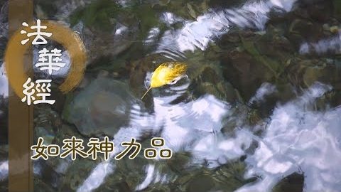《法華經 如來神力品》深心隨喜 增上信願 - 第1779集