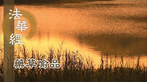《法華經 藥草喻品》 - 佛慈慇切 引眾開解 - 第895集