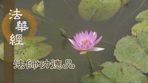 法髓甘露 滋潤慧命 - 第1661集