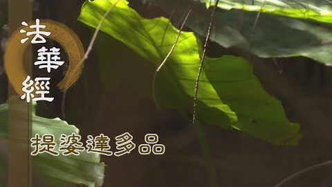 《法華經 提婆達多品》- 女身五障 勤修解脫 - 第1353集