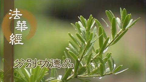 菩薩供養 利益眾生 - 第1605集