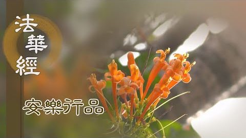 守護正法 方便增廣 - 第1450集